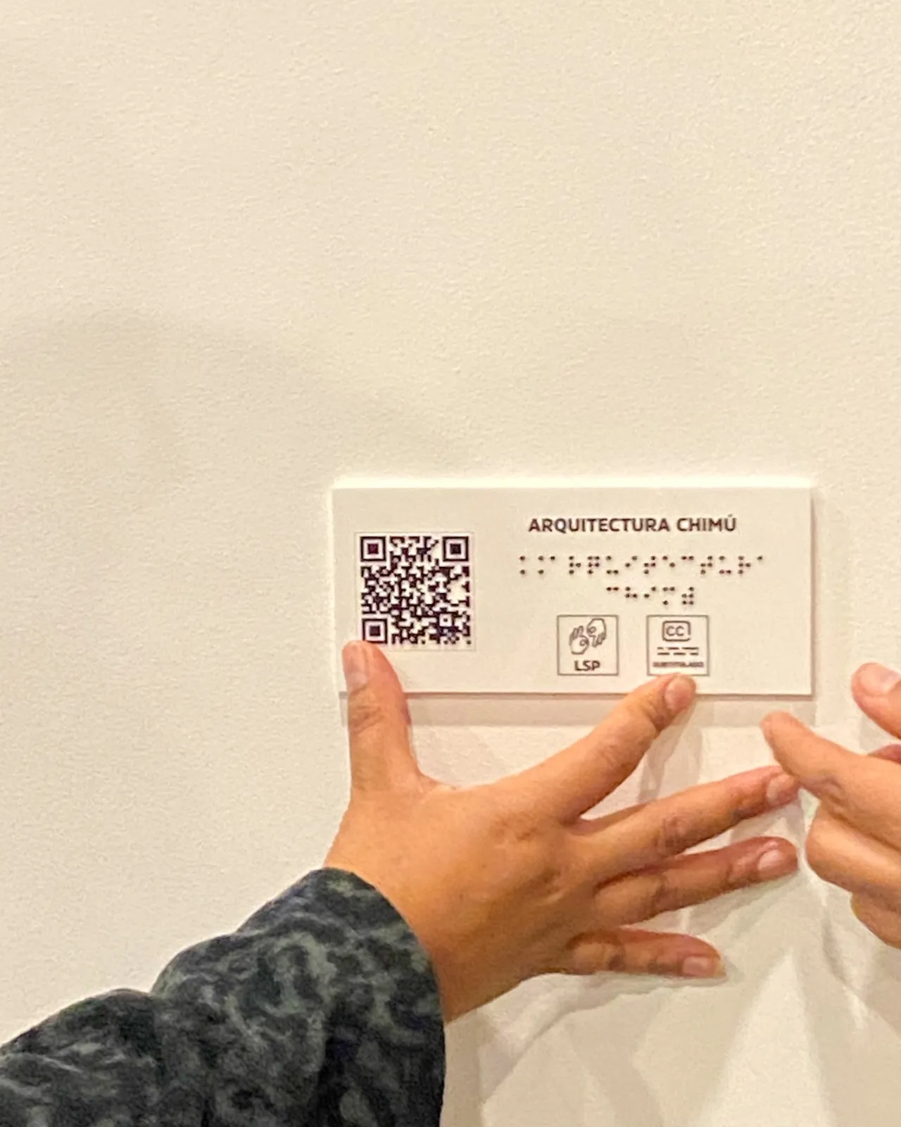 Proyecto de Inclusión 2